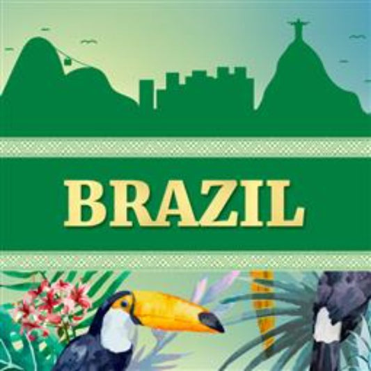 Pocillo Brazil Natural Artisan Roast Coffee Cup Pods - traditional dry-processed coffee