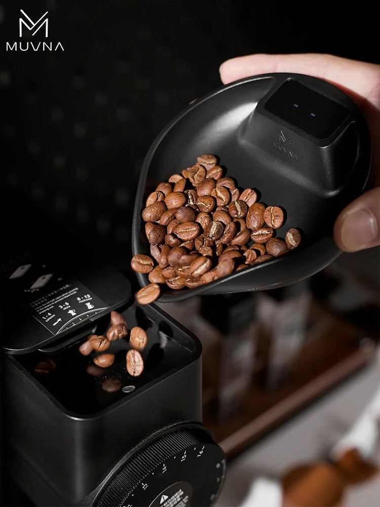 Electronic Scale Bean Tray